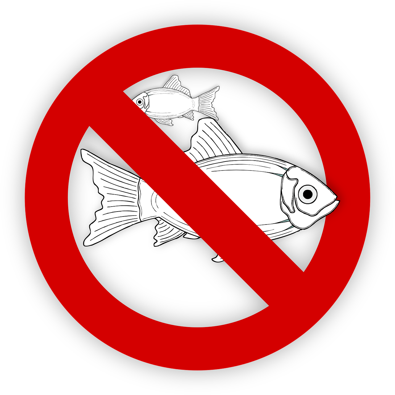 pixabay-995050-670.png
